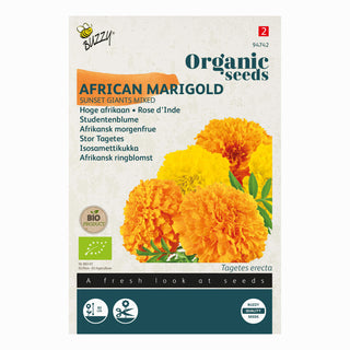 Tagetes Sunset Giants