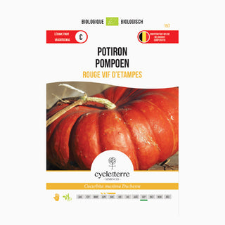 Pompoen 'Rode Vif d'Étampes'