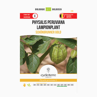 Gouden Lampionplant