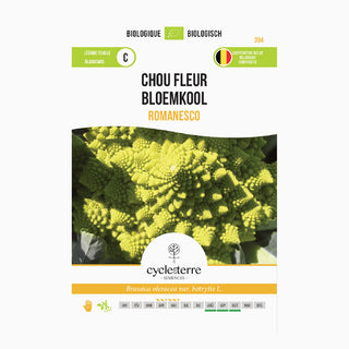 Bloemkool 'Romanesco'