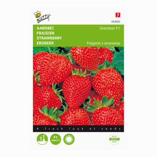 Aardbeien Grandian F1