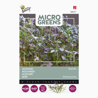 Buzzy Microgreens Mosterd Red Frills 080311