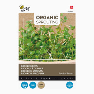 Buzzy Organic Sprouting Broccolikers 084048