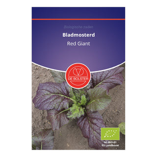De Bolster Bladmosterd 'Red Giant' 1575