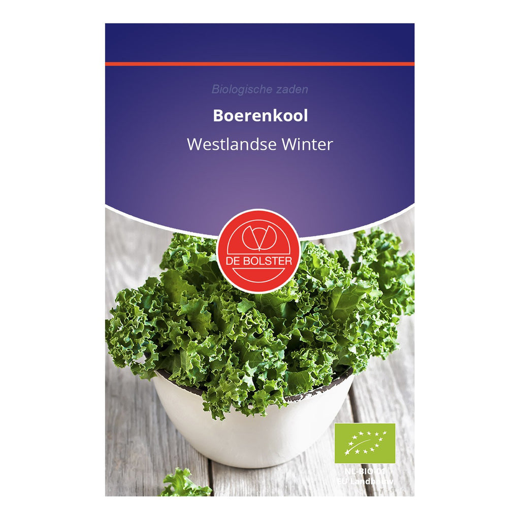 Boerenkool 'Westlandse Winter' - De Bolster (BIO)