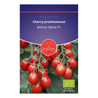 De Bolster Cherry-pruimtomaat 'Bolstar Baloe F1' 1941