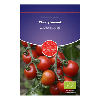 De Bolster Cherrytomaat 'Zuckertraube' 1970