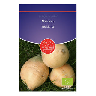 De Bolster Meiraap 'Goldana' 1710