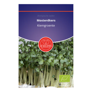 De Bolster Mosterdkers - Kiemgroente