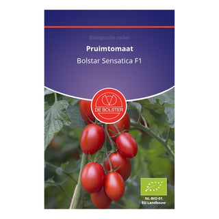 De Bolster Pruimtomaat 'Bolstar Sensatica F1' 1943