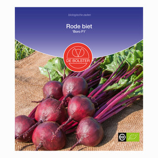 Rode biet 'Boro F1'