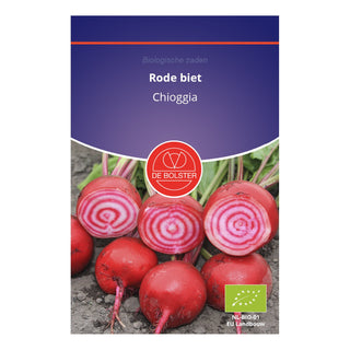 De Bolster Rode biet 'Chioggia' 1065