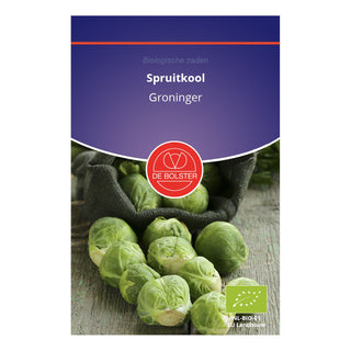 De Bolster Spruitkool 'Groninger' 1580
