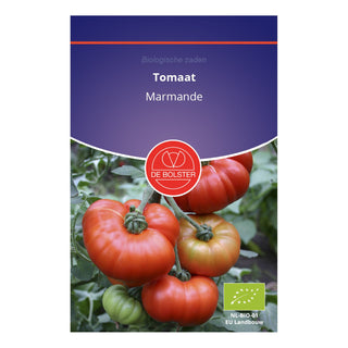 De Bolster Tomaat 'Marmande' 1950