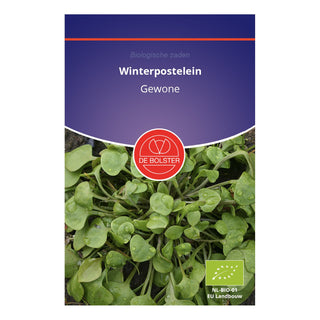 De Bolster Winterpostelein 2030