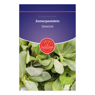 De Bolster Zomerpostelein 2040