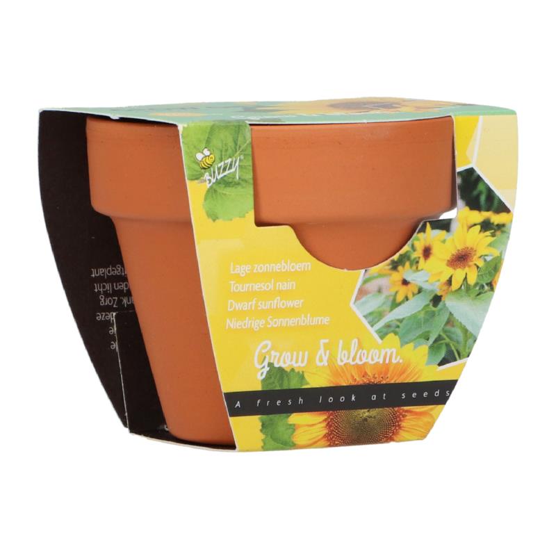 Pluche fruitboom knuffel plant 28cm kleurrijk speelgoed bij Planet Happy