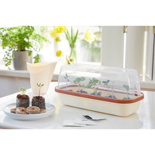 Romberg BOQUBE S Creme