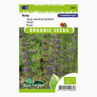 Sluis Garden Hysop SL2061