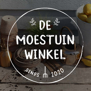 Cadeaus vanaf €10,-