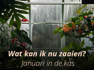 Wat kan ik zaaien in Januari?