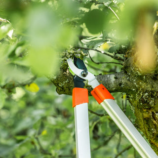 Lange takkenschaar knipt een tak in de tuin
