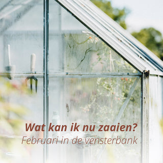 Wat kan ik zaaien in Februari?