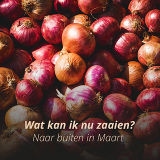Wat kan ik zaaien in Maart?