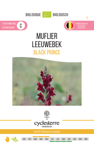 Leeuwenbek 'Black Prince'