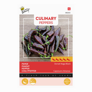 Peppers  'Naga Black'
