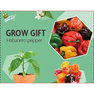 Groeicadeautje Peper