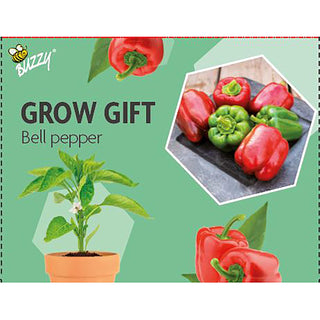 Groeicadeautje Paprika