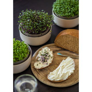 Kiemschaal Microgreens