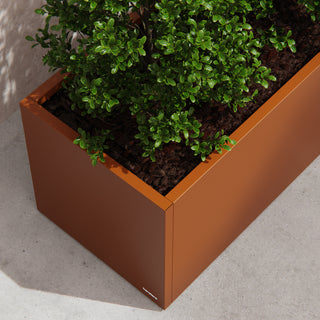 Moestuinbak Corten 50