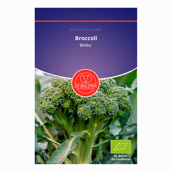 Broccoli 'Bobby'