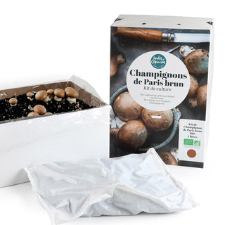 Bruine Champignons BIO