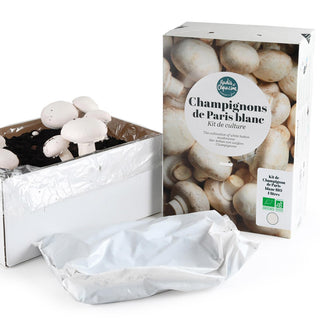 Witte Champignons BIO