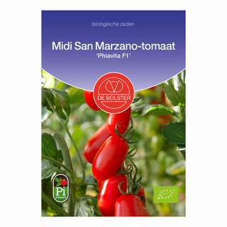 Midi San Marzano-tomaat 'Phiavita F1', De Bolster
