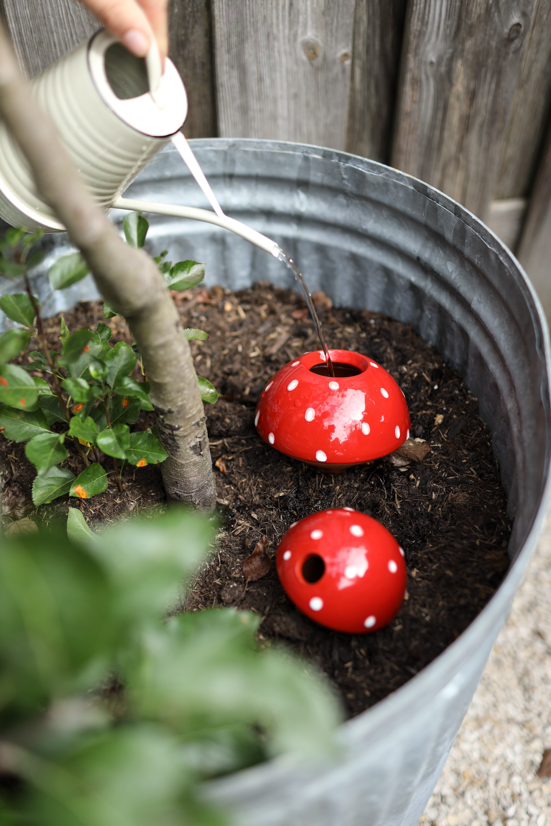 Geef een beetje tuininspiratie cadeau
