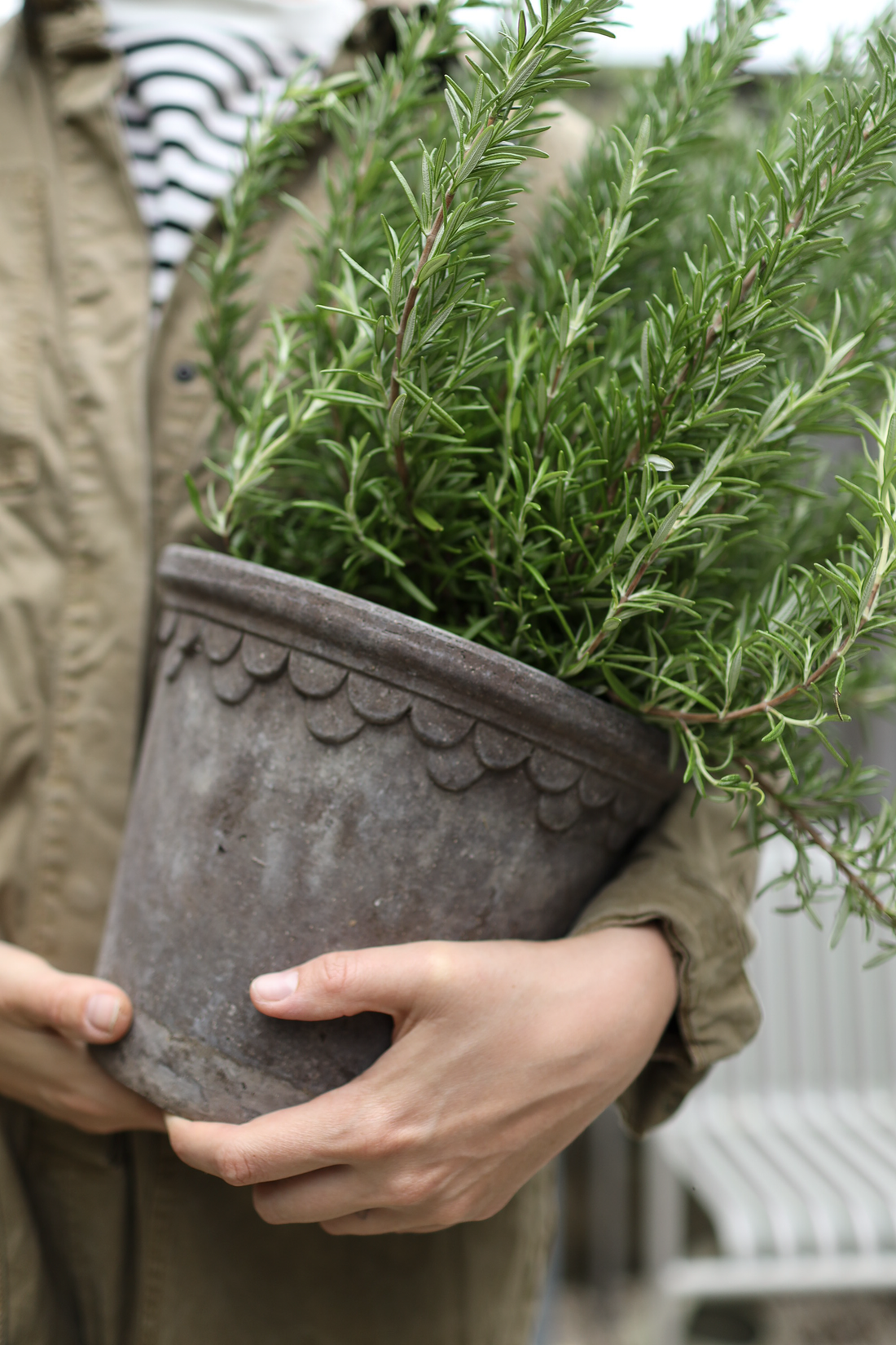 Bewaar de smaken van je moestuin