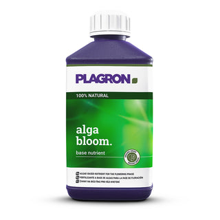 Alga Bloom