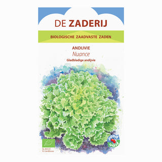 Andijvie 'Nuance'De Zaderij 