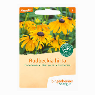 Rudbeckia Zonnehoed