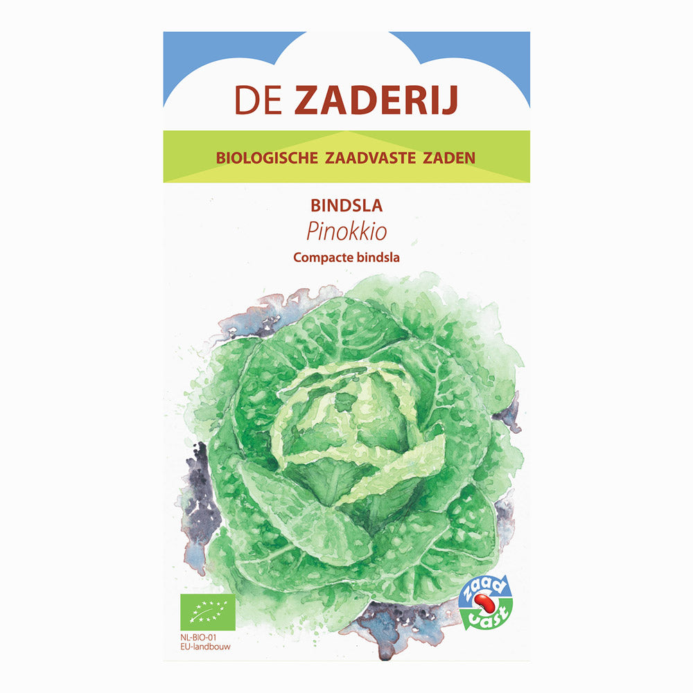 Bindsla 'Pinokkio' | BIO | De Zaderij – De Moestuinwinkel