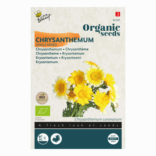 Chrysanthemum Enkelbloemig Gemengd