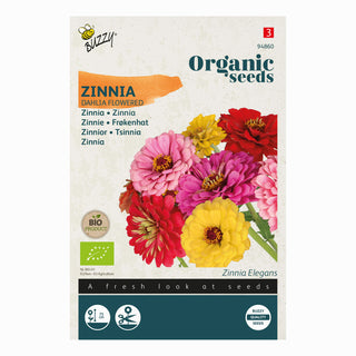 Zinnia Dubbele Dahliabloemige Gemengd