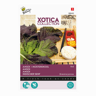 Xotica Amsoi Rood