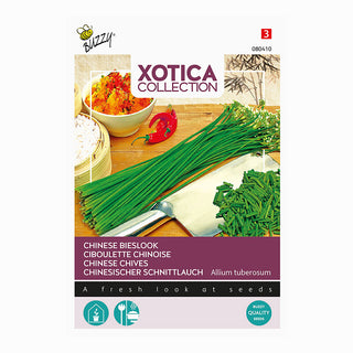 Xotica Chineese Bieslook