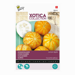 Xotica Komkommer 'Lemon Apple'