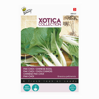 Xotica Paksoi Kanton